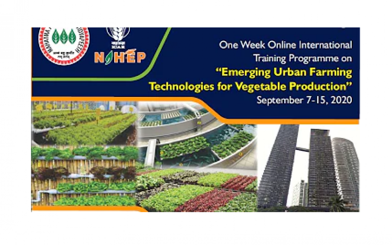Webinar 2